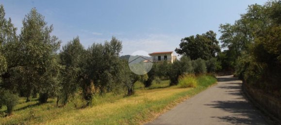 21000m² Land in Luzzi, Italy No. 299005 11