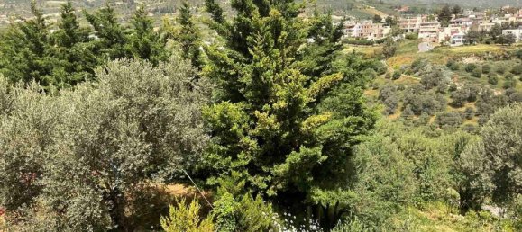 540m² Property in Heraklion, Greece No. 3617 19