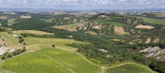 11 bedrooms House in Asciano, Italy No. 56380 5