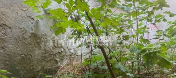 3 Schlafzimmer Wohnung in Cattolica, Italy, Nr. 345529 9