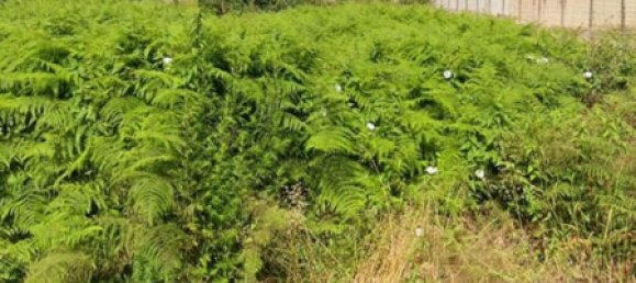 قطعة أرض في Sant'Antimo, Italy 667متر مربع رقم 285560 3