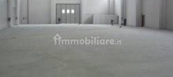 1 room Warehouse in Campi Bisenzio, Italy No. 12049 7
