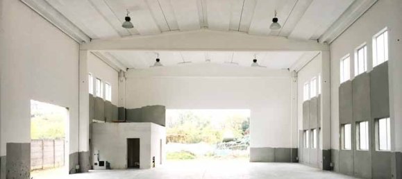 1 room Warehouse in Campi Bisenzio, Italy No. 12049 6