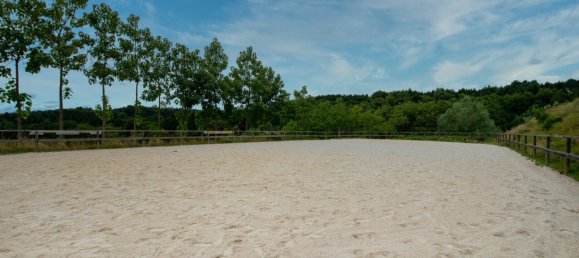 150m² Commercial property in Edelsbach bei Feldbach, Austria No. 225604 2