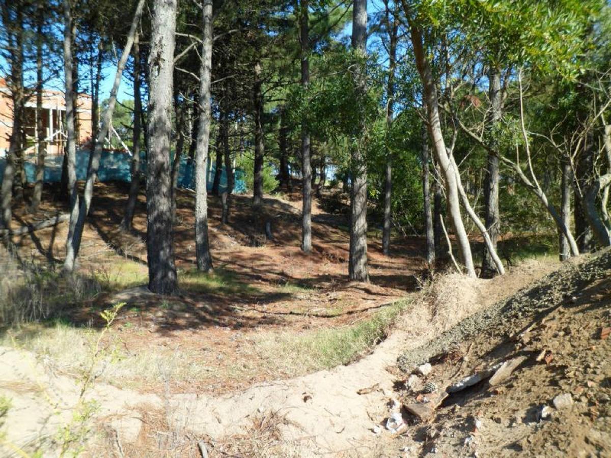  Land in Mar del Plata, Argentina No. 113719