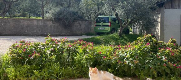 3 Schlafzimmer Haus in Isola del Liri, Italy, Nr. 52762 43