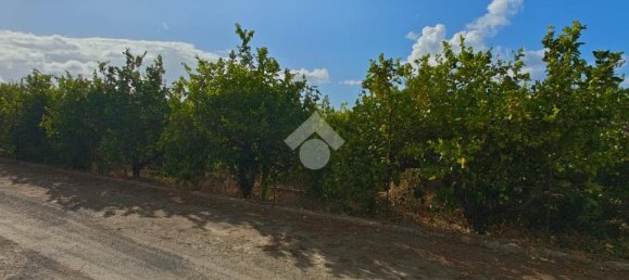 5900m² Land in Campofelice di Roccella, Italy No. 287904 2