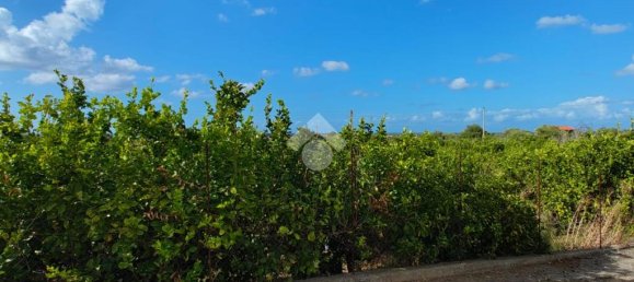 5900m² Land in Campofelice di Roccella, Italy No. 287904 11