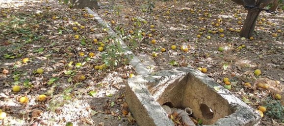 5900m² Land in Campofelice di Roccella, Italy No. 287904 21