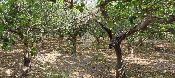 5900m² Land in Campofelice di Roccella, Italy No. 287904 15