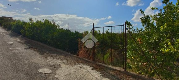 5900m² Land in Campofelice di Roccella, Italy No. 287904 5