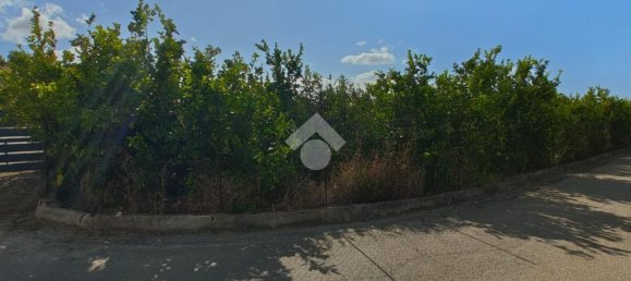 5900m² Land in Campofelice di Roccella, Italy No. 287904 8