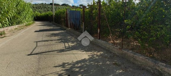 5900m² Land in Campofelice di Roccella, Italy No. 287904 9