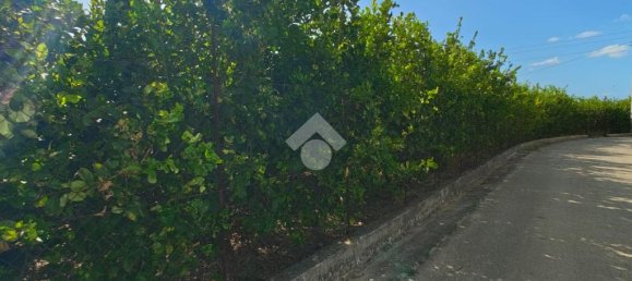 5900m² Land in Campofelice di Roccella, Italy No. 287904 6