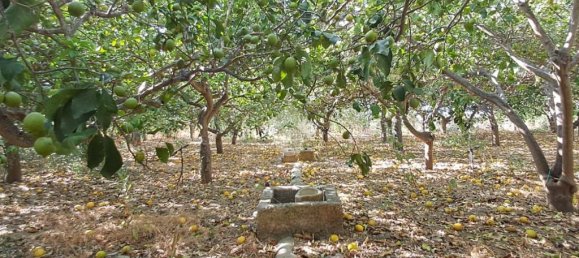 5900m² Land in Campofelice di Roccella, Italy No. 287904 17