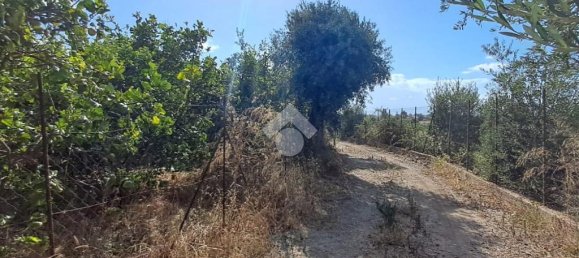 5900m² Land in Campofelice di Roccella, Italy No. 287904 13