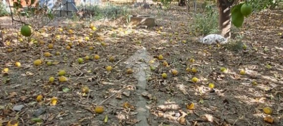 5900m² Land in Campofelice di Roccella, Italy No. 287904 22