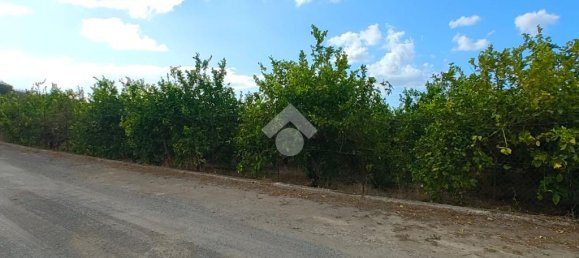 5900m² Land in Campofelice di Roccella, Italy No. 287904 7