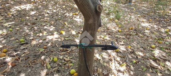 5900m² Land in Campofelice di Roccella, Italy No. 287904 20