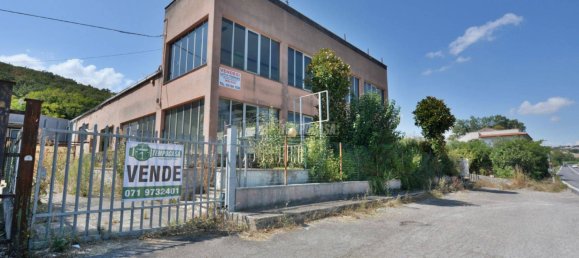 3-Zimmer Gewerbliche Immobilie in Castelfidardo, Italy, Nr. 134907 2