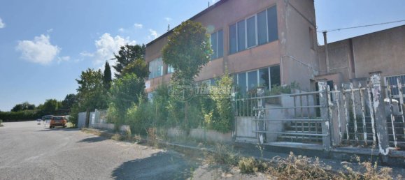 3-Zimmer Gewerbliche Immobilie in Castelfidardo, Italy, Nr. 134907 4