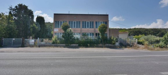 3-Zimmer Gewerbliche Immobilie in Castelfidardo, Italy, Nr. 134907 5