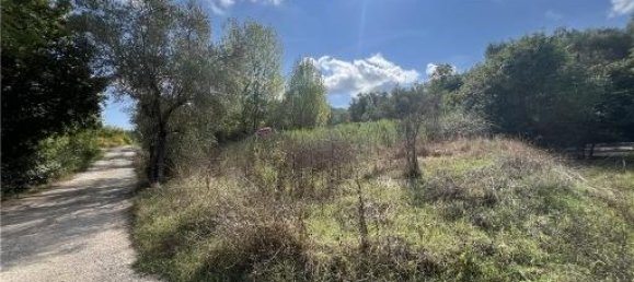 6-Zimmer Grundstück in Scandicci, Italy, Nr. 24221 6