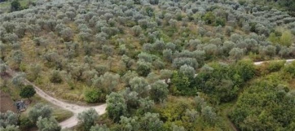 6-Zimmer Grundstück in Scandicci, Italy, Nr. 24221 7