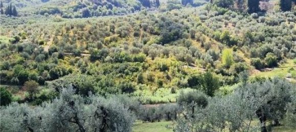 6-Zimmer Grundstück in Scandicci, Italy, Nr. 24221 3