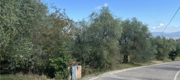 6-Zimmer Grundstück in Scandicci, Italy, Nr. 24221 10