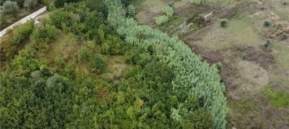 6-Zimmer Grundstück in Scandicci, Italy, Nr. 24221 8