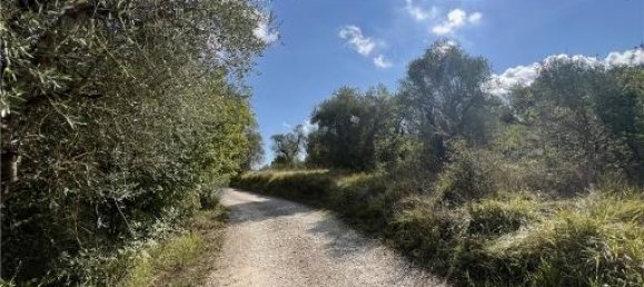 6-Zimmer Grundstück in Scandicci, Italy, Nr. 24221 5