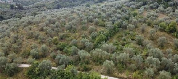 6-Zimmer Grundstück in Scandicci, Italy, Nr. 24221 4