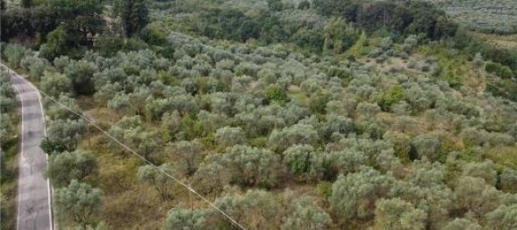 6-Zimmer Grundstück in Scandicci, Italy, Nr. 24221 9