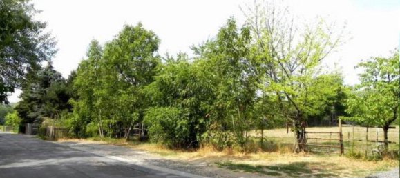 Land in Mansfeld-Sudharz, Germany No. 328175 6