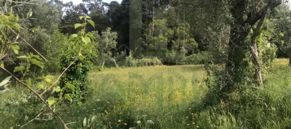  Land in Valenca, Portugal No. 50382 6