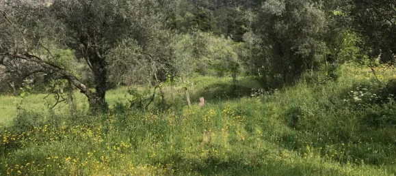  Land in Valenca, Portugal No. 50382 8