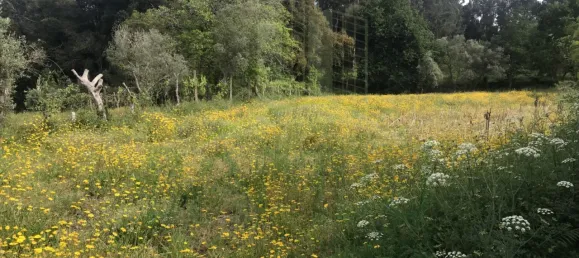  Land in Valenca, Portugal No. 50382 4