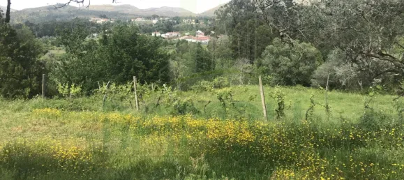  Land in Valenca, Portugal No. 50382 5