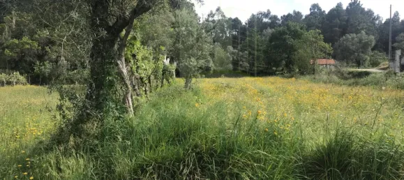  Land in Valenca, Portugal No. 50382 7