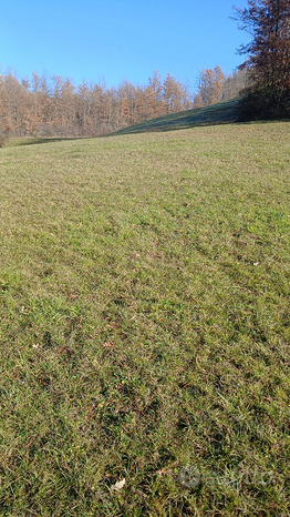  قطعة أرض في Borgo Val di Taro, Italy 59000متر مربع رقم 307668