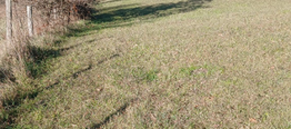  قطعة أرض في Borgo Val di Taro, Italy 59000متر مربع رقم 307668 2