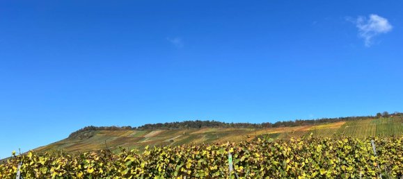 Terreno en Rems-Murr-Kreis, Germany No. 236571 2