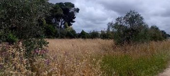  قطعة أرض في Galatina, Italy 1779متر مربع رقم 281785 4