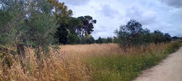  قطعة أرض في Galatina, Italy 1779متر مربع رقم 281785 2