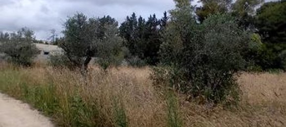  قطعة أرض في Galatina, Italy 1779متر مربع رقم 281785 5