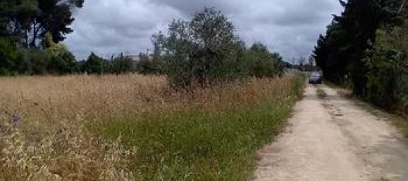  قطعة أرض في Galatina, Italy 1779متر مربع رقم 281785 3