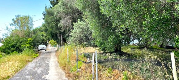  قطعة أرض في Corfu, Greece 4337متر مربع رقم 93027 6