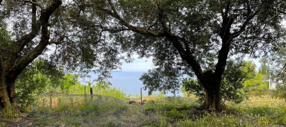  قطعة أرض في Corfu, Greece 4337متر مربع رقم 93027 14