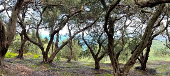  قطعة أرض في Corfu, Greece 4337متر مربع رقم 93027 9